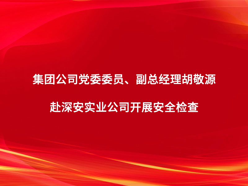 集團(tuán)公司黨委委員、副總經(jīng)理胡敬源赴深...